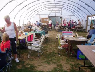 Inside the polytunnel