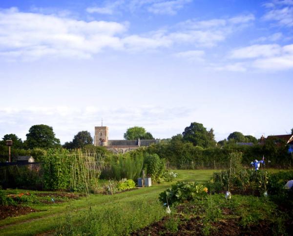 The Allotment Site