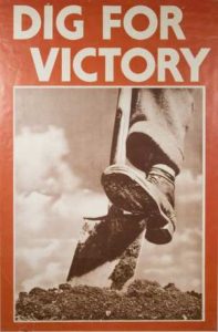 dig for victory 197x300