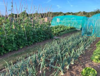 2025 1st Best Plot 2A 01