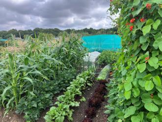 2025 1st Best Plot 2A 02