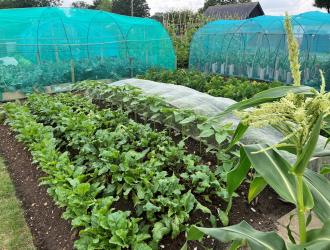 2025 1st Best Plot 2A 03