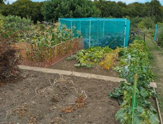 2025 2nd Best Plot 34 01