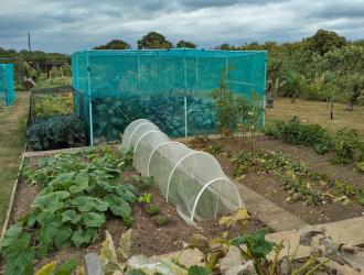 2025 2nd Best Plot 34 03