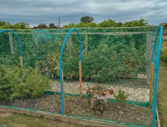 2025 2nd Best Plot 34 04