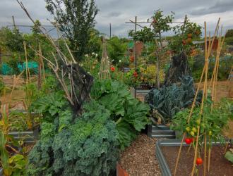 2025 3rd Best Plot 16B 01