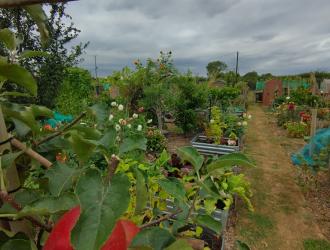 2025 3rd Best Plot 16B 02