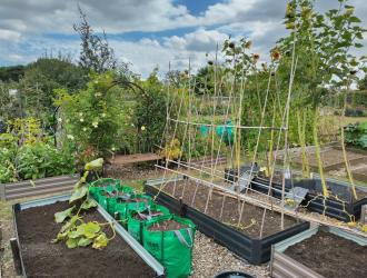 2025 3rd Best Plot 16B 04