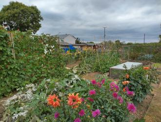 2025 4th Best Plot 14 01