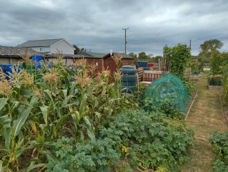 2025 4th Best Plot 14 03