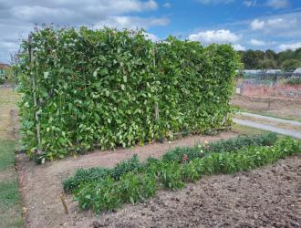 2025 4th Best Plot 14 04