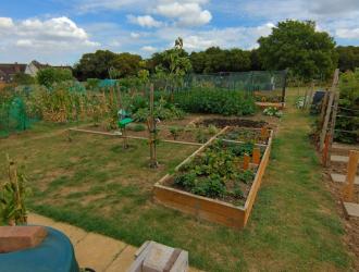 2025 5th Best Plot 22B 01