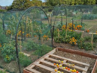 2025 5th Best Plot 22B 02