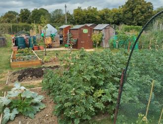 2025 5th Best Plot 22B 03