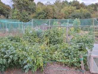 2025 6th Best Plot 60 01