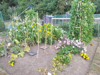 2025 6th Best Plot 60 02