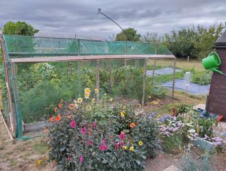 2025 6th Best Plot 60 03