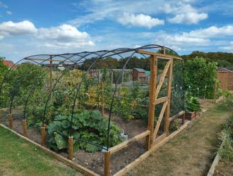 2025 Best Newcomer Plot 7A 01