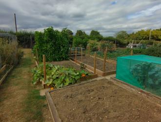 2025 Best Newcomer Plot 7A 03