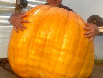 Giant Pumpkin