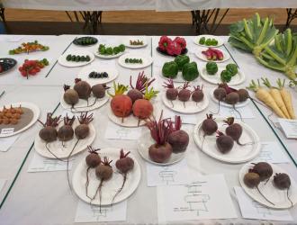 IMG 20250906 132655 HDR