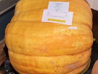 IMG 20250906 132759 HDR