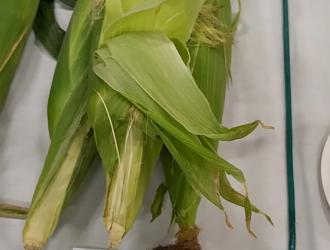 IMG 20250906 132959 HDR