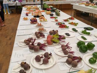 IMG 20250906 133156 HDR