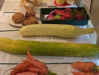 IMG 20250906 133454 HDR