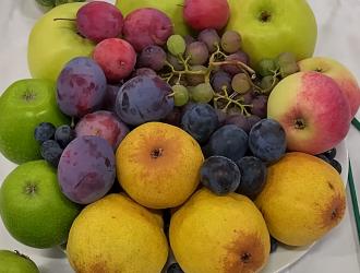 IMG 20250907 131600 HDR