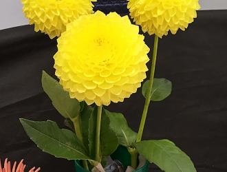 IMG 20250907 131621 HDR