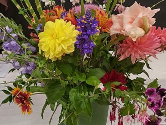 IMG 20250907 131638 HDR