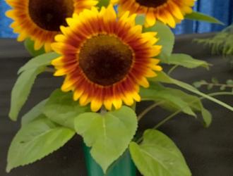 IMG 20250907 131648 HDR