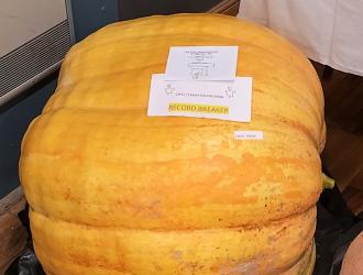 IMG 20250907 131722 HDR