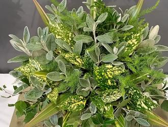 IMG 20250907 131809 HDR