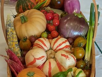 IMG 20250907 132444 HDR