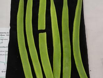 IMG 20250907 132531 HDR