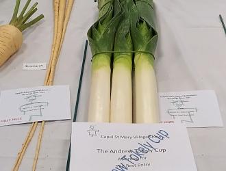 IMG 20250907 132542 HDR