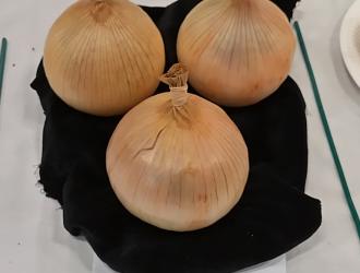 IMG 20250907 132554 HDR