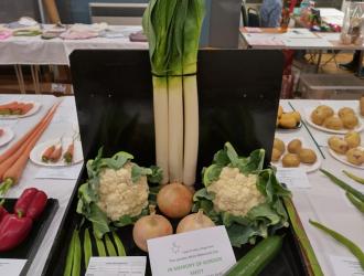 IMG 20250907 132726 HDR