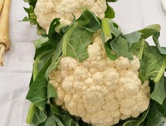 IMG 20250907 132747 HDR