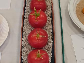 IMG 20250907 132809 HDR