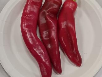 IMG 20250907 141827 HDR