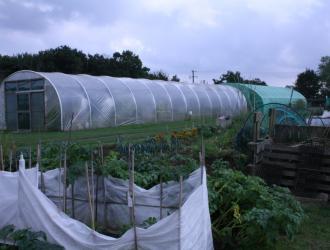 Poly Tunnel 1